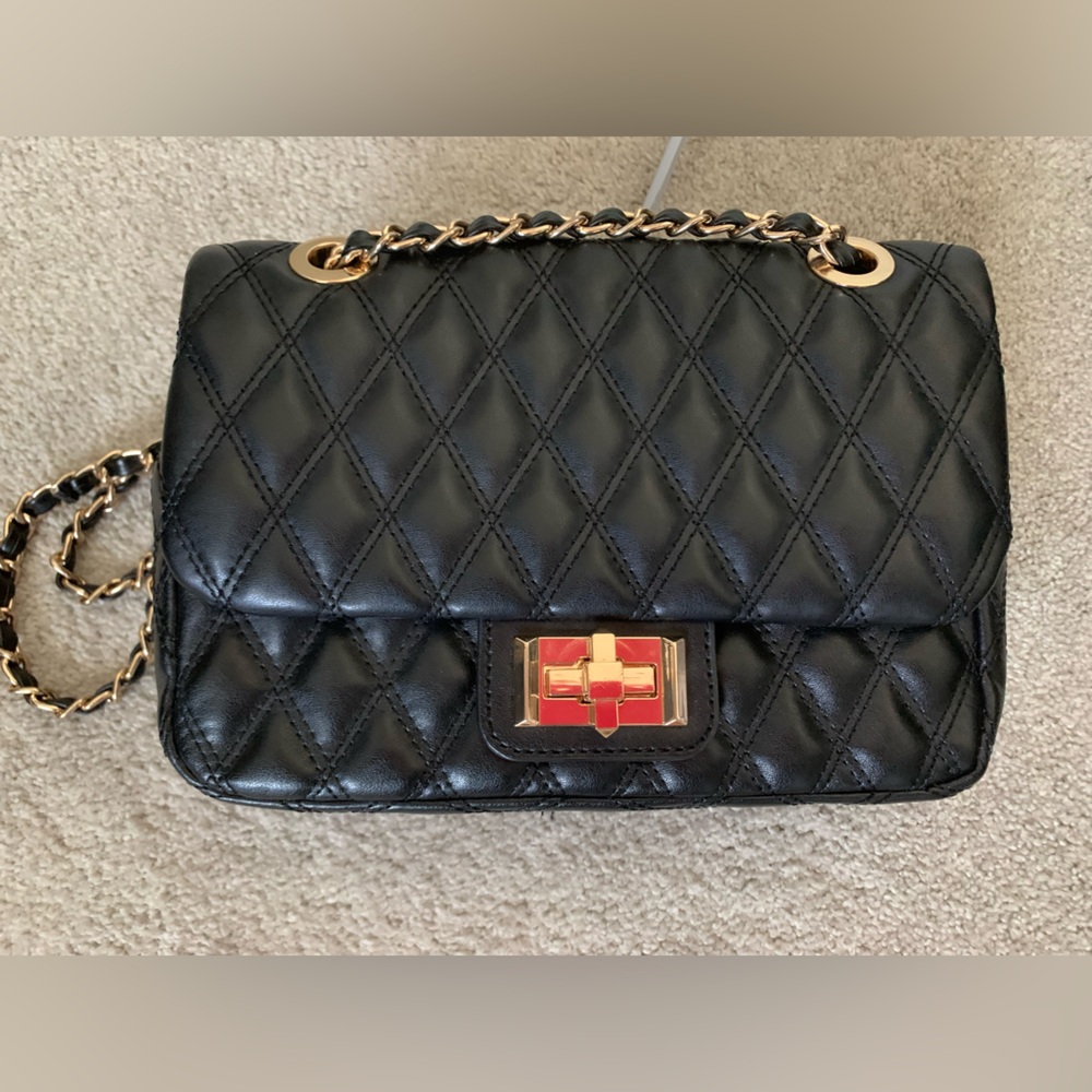 Aldo Quilted Bag